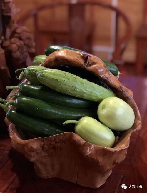 浏阳网红吃瓜,揭秘幕后故事与热门话题 第3张 浏阳网红吃瓜,揭秘幕后故事与热门话题 第3张